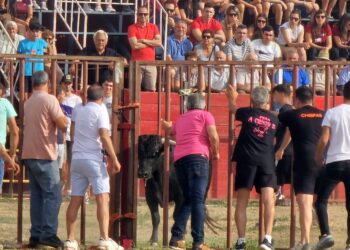 Tarde de capea popular en Villoruela con talanqueras y gradas llenas de vecinos y aficionados de otros pueblos de la comarca