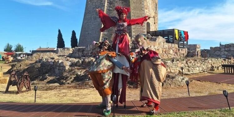 Cetrería, mercado agroalimentario, exhibiciones y talleres infantiles, este fin de semana en la Feria Medieval de Alba