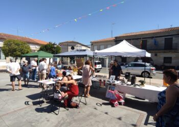 La Feria de la Cerveza Artesana llena de ambiente la plaza de Alaraz y trae actividades como catas y concurso de tortillas