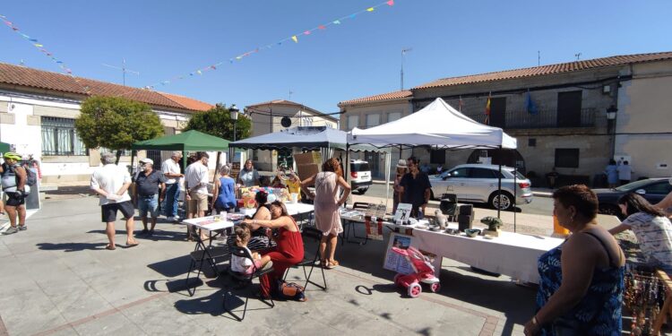 La Feria de la Cerveza Artesana llena de ambiente la plaza de Alaraz y trae actividades como catas y concurso de tortillas