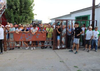 Emoción y diversión en el segundo encierro urbano de Villaflores y carretones en sustitución de la bueyada infantil suspendida