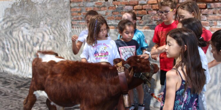 La mini bueyada en Villar de Gallimazo llama la atención de los más pequeños en un esperado recorrido por las calles del pueblo