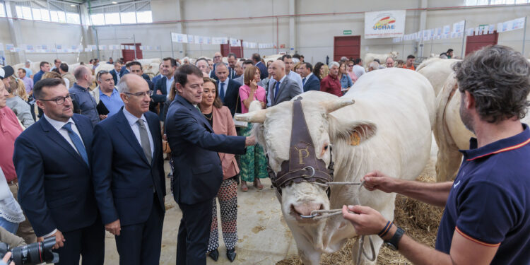 Mañueco anuncia nuevas ayudas por la EHE este año y más exenciones en el pago del impuesto de sucesiones y donaciones
