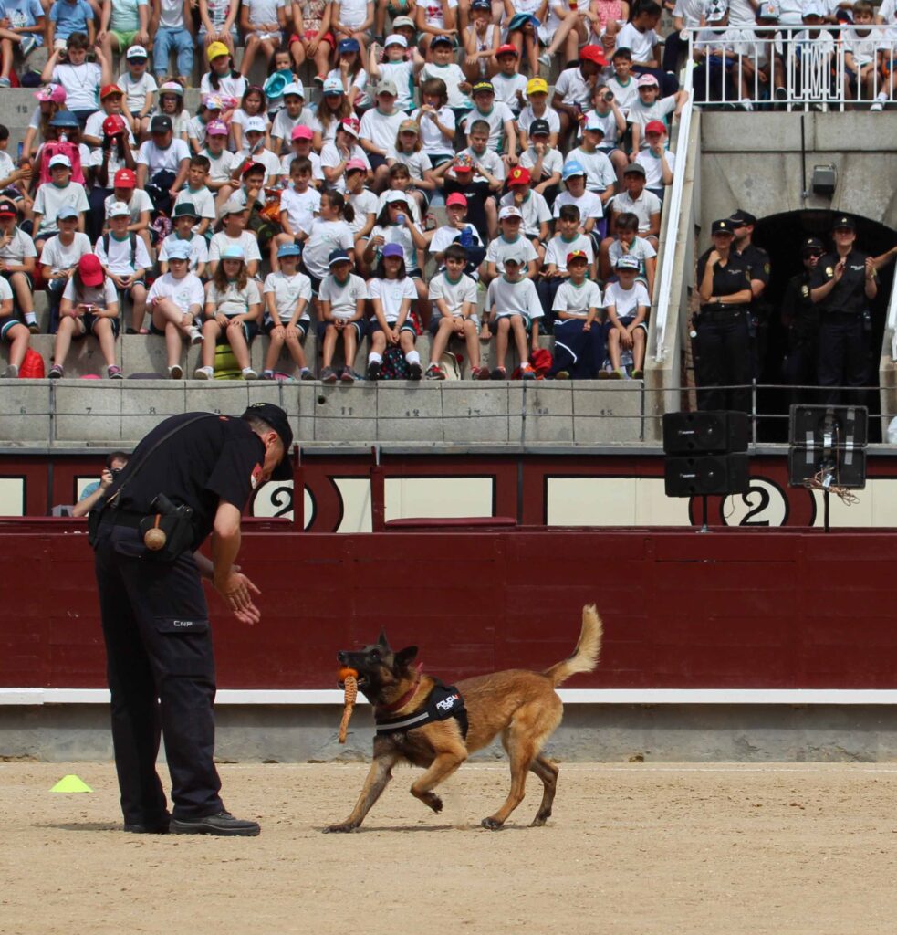 Guias Caninos