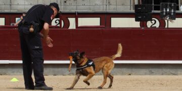 La unidad de guías caninos de la Policía Nacional realizará una exhibición mañana jueves, 5 de septiembre, en Salamaq