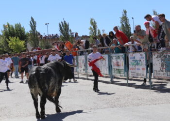 El II Toro Virgen de la Encina llena de ambiente y aficionados las calles de Macotera en una intensa y esperada mañana festiva