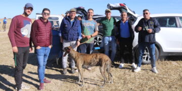La I carrera de galgos «Ciudad de Peñaranda» reúne a numerosos aficionados y público en una mañana de sol y buenas carreras