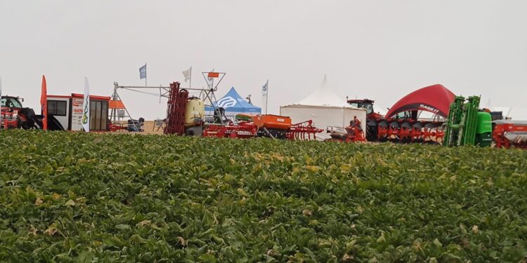 Paradinas de San Juan acoge la III edición de las Jornadas de Campo de ACOR con charlas, exposiciones y campos de ensayo