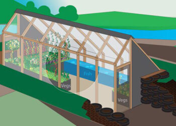Rágama convoca un concurso para el diseño de un invernadero solar que después se construirá para uso como «huerto urbano»