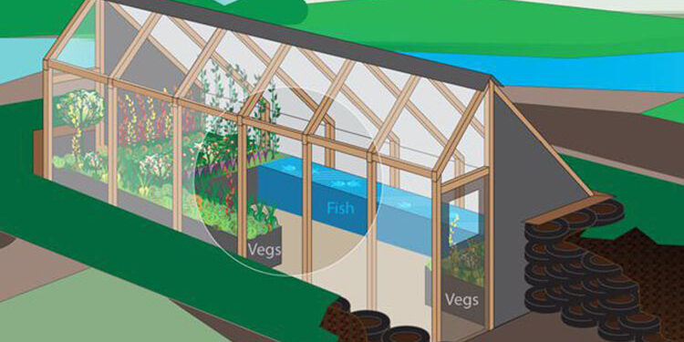 Rágama convoca un concurso para el diseño de un invernadero solar que después se construirá para uso como «huerto urbano»