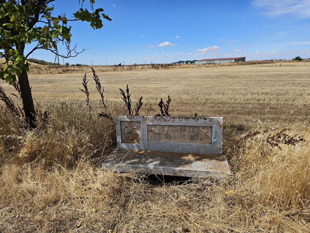 paseocementerio 1