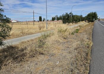 Peticiones vecinales en Peñaranda para dotar de nuevos bancos al paseo hasta el cementerio y desbrozar la maleza que los rodea