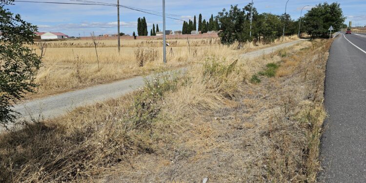 Peticiones vecinales en Peñaranda para dotar de nuevos bancos al paseo hasta el cementerio y desbrozar la maleza que los rodea