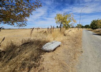 Peticiones vecinales en Peñaranda para dotar de nuevos bancos al paseo hasta el cementerio y desbrozar la maleza que los rodea