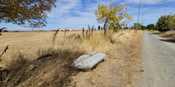 Peticiones vecinales en Peñaranda para dotar de nuevos bancos al paseo hasta el cementerio y desbrozar la maleza que los rodea