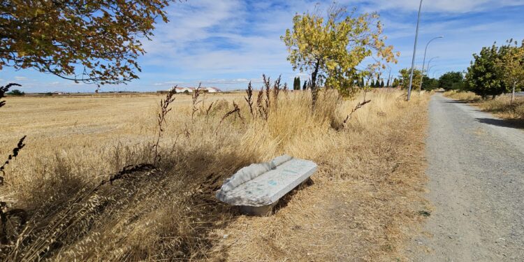 Peticiones vecinales en Peñaranda para dotar de nuevos bancos al paseo hasta el cementerio y desbrozar la maleza que los rodea