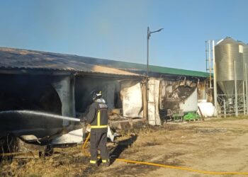 Un pavoroso incendio arrasa una explotación cunícola en Tarazona de la Guareña y causa la muerte a más de 12.000 conejos