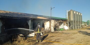Un pavoroso incendio arrasa una explotación cunícola en Tarazona de la Guareña y causa la muerte a más de 12.000 conejos