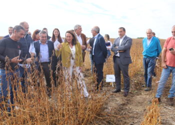 La consejera de Agricultura de la Junta, María González Corral, visita los campos de ensayo de soja en Arabayona de Mógica: «Es importante apostar por cultivos alternativos»