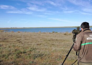 La Junta de Castilla y León celebra el Día Mundial de las Aves Migratorias con diversas actividades para todos los públicos