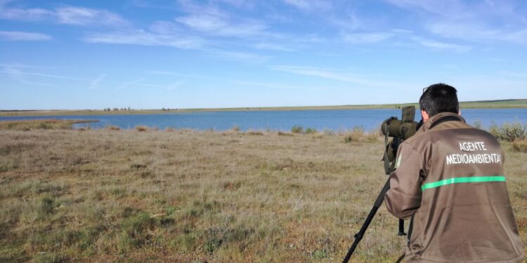 La Junta de Castilla y León celebra el Día Mundial de las Aves Migratorias con diversas actividades para todos los públicos