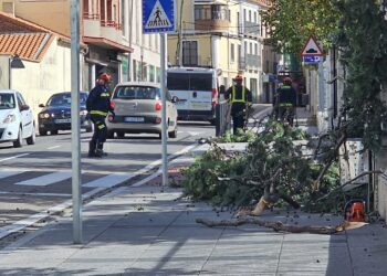 La furia de Kirk se incrementa en Peñaranda y derriba parte del vallado perimetral en el polideportivo y un árbol en La Huerta