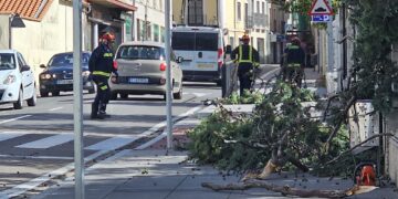 La furia de Kirk se incrementa en Peñaranda y derriba parte del vallado perimetral en el polideportivo y un árbol en La Huerta