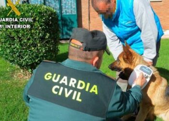 La Operación Can de la Guardia Civil se salda con 26 denuncias en la provincia de Salamanca, 12 de ellas por carecer de microchip