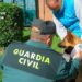 La Operación Can de la Guardia Civil se salda con 26 denuncias en la provincia de Salamanca, 12 de ellas por carecer de microchip