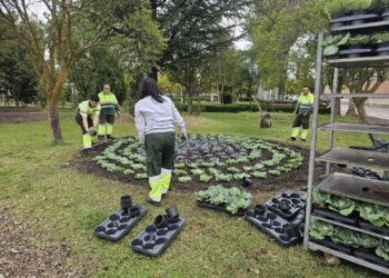 Peñaranda decora el parque de Los Jardines y otras zonas verdes de la localidad con 2.500 plantas de temporada