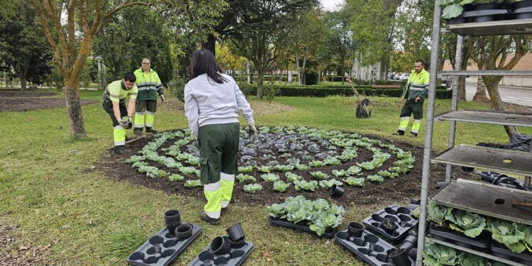 Peñaranda decora el parque de Los Jardines y otras zonas verdes de la localidad con 2.500 plantas de temporada