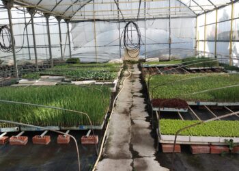 Éstas son las cinco oportunidades de futuro que buscan dueño  en la comarca a través de Negocio Rural, iniciativa de la Diputación