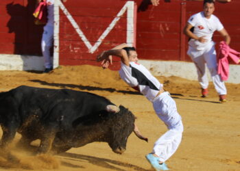 Adrián Cívicos, recortador de Palaciosrubios: «Todo el mundo que se pone delante de un animal bravo se merece un respeto y en ocasiones, en algunas plazas se pierde»