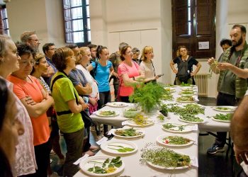 Alba de Tormes se prepara para recibir cientos de visitantes en un intenso fin de semana micológico, taurino, cultural y solidario