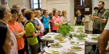 Alba de Tormes se prepara para recibir cientos de visitantes en un intenso fin de semana micológico, taurino, cultural y solidario