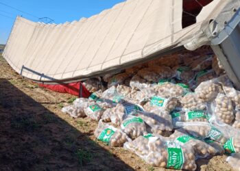 Un camión cargado de sacos de patatas vuelca en la cuneta de la carretera entre Cantalpino y Arabayona: el conductor, ileso