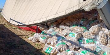 Un camión cargado de sacos de patatas vuelca en la cuneta de la carretera entre Cantalpino y Arabayona: el conductor, ileso