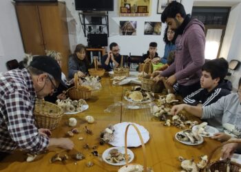 Rágama acoge un taller de iniciación a la micología en una jornada amena y didáctica para participantes de diversas edades