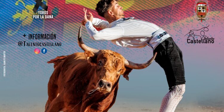 Villoria acogerá el 17 de noviembre en el coso de la Vega un gran concurso de recortes a beneficio de los afectados por la DANA