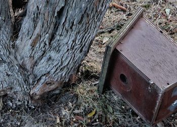 Un hombre resulta herido leve en Peñaranda tras recibir en una pierna el impacto de una caja nido que ha caído en Los Jardines