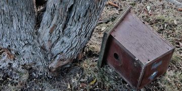 Un hombre resulta herido leve en Peñaranda tras recibir en una pierna el impacto de una caja nido que ha caído en Los Jardines
