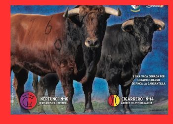 «Neptuno» y «Cigarrero» serán los dos astados protagonistas del Toro de San Blas de Babilafuente en la tarde del 1 de febrero