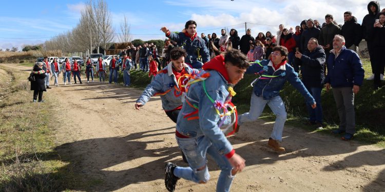 Los «Trotarrabos» celebran su día grande en Villoria corriendo las típicas cintas a lomos de un burro en el camino de San Benito