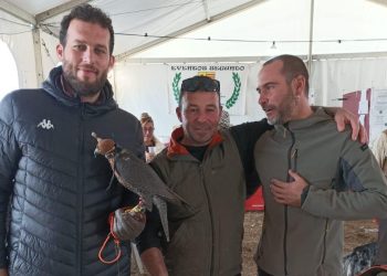 Segismundo y Rasputín, halcones del zoriteño Fran Rodero, ganan los campeonatos de altanería con perro y de paloma lanzada