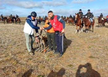 Marisma y Calima, las dos primeras representantes de Castilla y León, caen en los octavos del Campeonato Nacional de Galgos