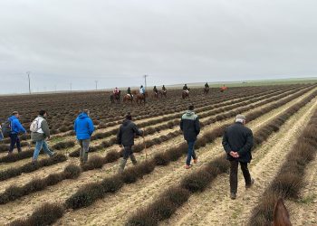Nuevas fechas para el Campeonato de España de Galgos: el 29 de enero se disputarán las semifinales y el 1 de febrero la final