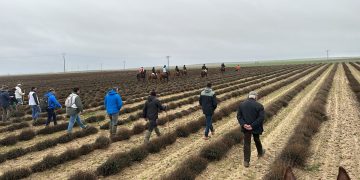 Nuevas fechas para el Campeonato de España de Galgos: el 29 de enero se disputarán las semifinales y el 1 de febrero la final