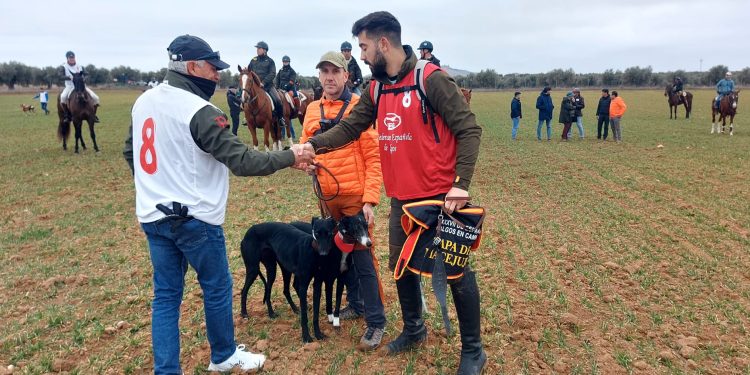 Castilla y León tendrá a Tapa de Mocejujo y Morería de Suerte en los cuartos de final del Nacional de Galgos que llegan a Madrigal