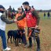 Castilla y León tendrá a Tapa de Mocejujo y Morería de Suerte en los cuartos de final del Nacional de Galgos que llegan a Madrigal