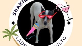 «Cada día una oportunidad»: la nueva campaña que promueve la adopción de perros abandonados en la provincia de Salamanca